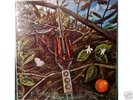Dragonfly vinyl LP Psych Megaphone