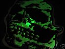 ORCHID Jeromes Dream SKULL 10