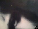 SECRET MONSTER SOUL FUNK CHILL LP LOOPS SAMPLE HEAR