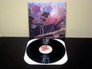 ANIMAL COLLECTIVE Here Comes the Indian LP Paw Tracks