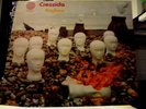 CRESSIDA Asylum LP - Vertigo 6360 025