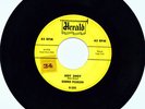 Ronnie Pearson Hot Shot Herald 45 500