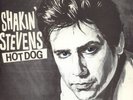 Rare Shakin' Stevens Single HOT DOG 1980 Picture Sleeve