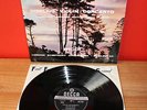 SXL 2077 WBG ED1 RICCI Sibelius violin conc Fjeldstad