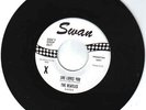 RARE BEATLES 45 - Swan 4152 - She Loves You - DJ COPY