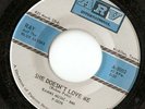RAY & BLUE SATINS She Doesn't Love Me NORTHERN SOUL mp3