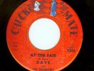 Dave & the Shadows AT THE FAIR on Checkmate Michigan 45