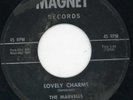 Marvells-Did She Leave You-Magnet Doo Wop 45 
