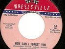 Northern Soul Detroit Magictones WHEELSVILLE   HEAR IT