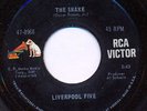 LIVERPOOL FIVE The Snake GREAT garage rock mod 45 HEAR
