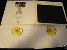 Palace Music - Lost Blues and Other Songs  Double Vinyl