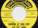 Rare Garage / Soul 45- Gee Gee Shinn- Sunshine Of Your