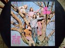 Rare/The Forum/Garage/Psych/Private/Drum Break/Vanco/LP