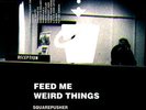 Squarepusher- Feed Me Weird Things 2 X LP Vinyl
