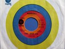 FIRE AND ICE Rare Mod Psych Garage 45 