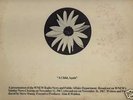 HIPPIE Acid PSYCH 1967 