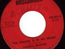 Charles Brimmer New Orleans sweet soul Broadmoor 45