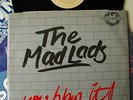 UK Boogie, The Mad Lads, You blew it, RARE, EXC. Listen