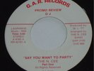 THE N. CEE   Say You Want to Party   RARE FUNK 45 hear
