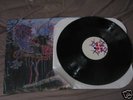 ANIMAL COLLECTIVE 'HERE COMES THE INDIAN' RARE LP