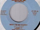 soul funk 45 LARRY T. & THE FAMILY why i'm so happy ??