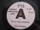 THE SHEFFIELDS- GOT MY MOJO WORKING 7