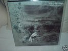 WILL-O-THE WISP - A GIFT FOR YOUR DREAMS - GREEK PSYCH