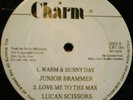 WARM & SUNNY DAY - DIGITAL ROOTS CUT Junior Brammer 12
