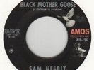 70s RARE NORTHERN SOUL/CROSSOVER SAM NESBIT GOOSE/CHASE