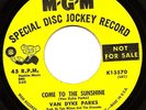 1960s Psych 45 VAN DYKE PARKS Come To The Sunshine MGM