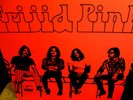 M- 1969 Orig 1st FRIJID PINK   RISING SUN Hard Blues A+