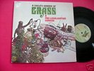 A CHILD'S GARDEN OF GRASS ELEKTRA 75021 STEREP