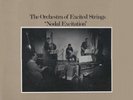 Arnold Dreyblatt - Orchestra Of Excited Strings - Nodal