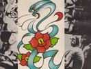 LP  ROSE TATTOO same (ALBERT dk blue label)