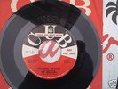 THE ZEBULONS FALLING WATER Orig CUB 45 DooWop PROMO