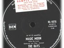 THE RAYS MAGIC MOON CLAIR DE LUNE DOO WOP ORIG OZ 45