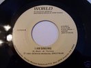 Mega RARE World-Denika GA Modern Soul/Funk-Listen #1