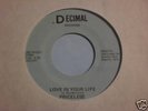PRICELESS  Love In Your Life Rare Modern Soul 45 LISTEN