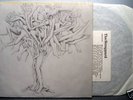 SCRAPYARD 1968 UK PRIVATE ACID PSYCH FOLK HEAR 8 MP3s ?
