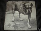 ALICE IN CHAINS S/T 2 LP US ORIG 1995 M- OOP NIRVANA