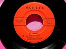 PICTORIAN SKIFFULS - In Awhile - Ohio Garage 45 rpm