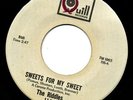 THE RIDDLES Sweets For My Sweet 60s Garage Punk pop