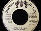 BRIAN O`NEIL * LEVEL THE VIBES *  V. RARE DIGI CLASSIC