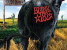 BLINK 182 DUDE RANCH BLACK 180G LP RARE LIMITED TO 500