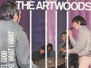 THE ARTWOODS - ITALY DECCA 45 + PS - I FEEL GOOD (EX)