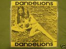 DANDELIONS PRIVATE FOLK POP LP 1971 RARE AMAZING