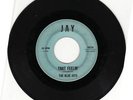 RARE NORTHERN SOUL  THAT  FEELIN'   THE  BLUE JAYS