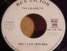 The Galaxies IV - Don't Lose Your Mind / Garage Psych