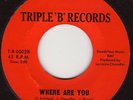 THE FOUR SONICS Where Are You SOUL 45 TB002 DETROIT