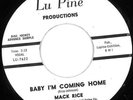 Mack Rice :  Northern Soul 45 on Lu Pine